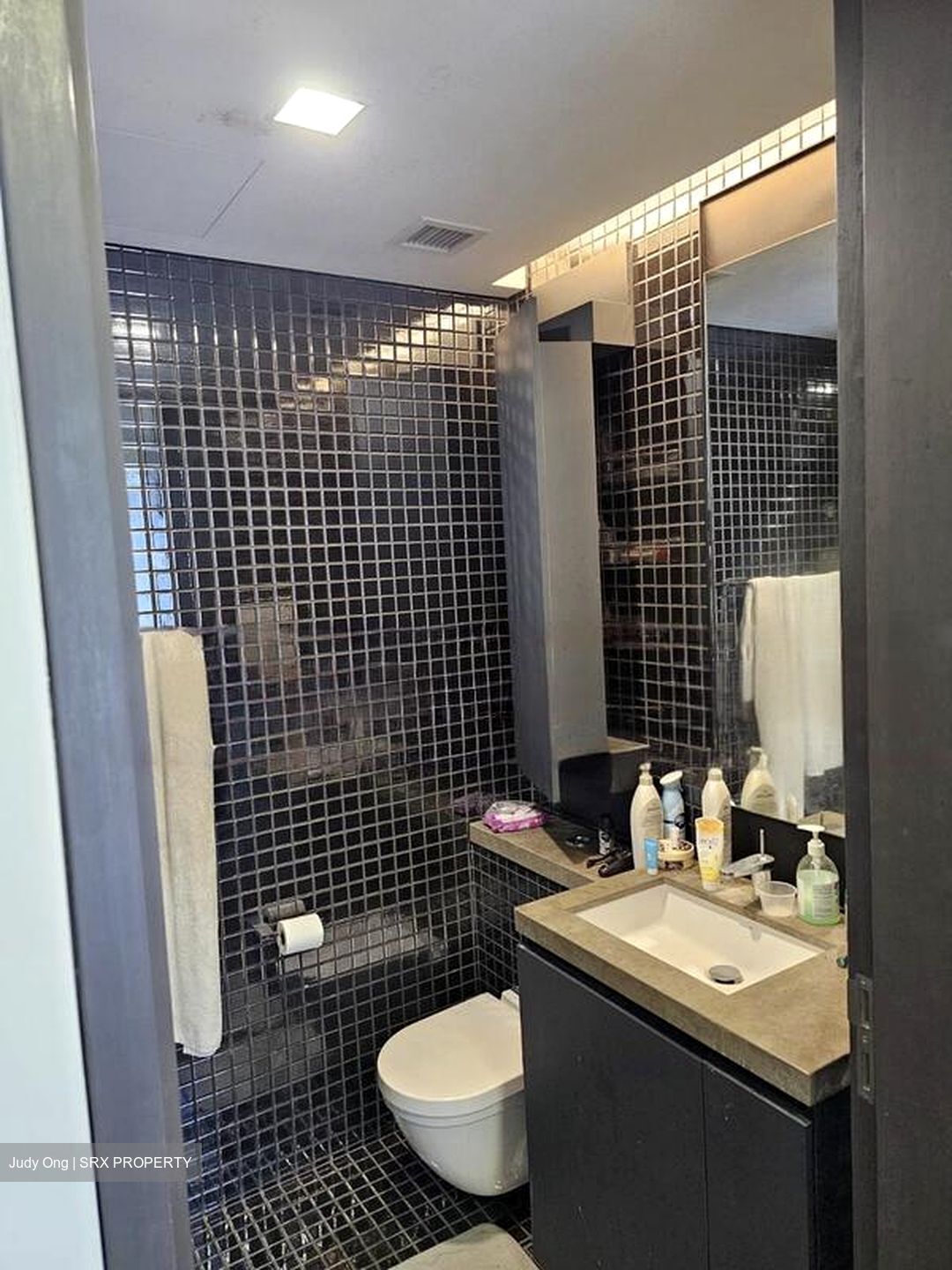 Skysuites@Anson (D2), Apartment #464466131
